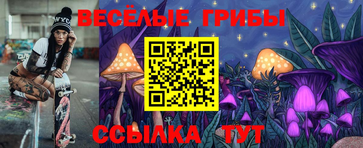 Галлюциногенные грибы Psilocybine cubensis Улан-Удэ